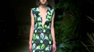 Spring Summer 2015 Show  ERDEM [upl. by Estele161]