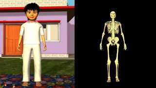 Science  How different joints work in Human 3D animation  English [upl. by Oigile874]