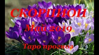 СКОРПИОН МАЙ 2019 ТАРО ПРОГНОЗ Любовь деньги работа [upl. by Llewxam]