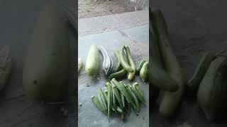 food my farm sabji ilovesurat suratlife mukeshlive vlog suratblogger love [upl. by Turpin]