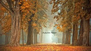 Autumn Heart  Acoustic Song [upl. by Aihsekel]