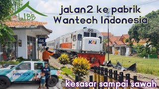 PERLINTASAN KERETA JPL 156 WLINGI WARUNG BAMBU BAROKAH BLITAR  WANTECH INDONESIA [upl. by Sher413]