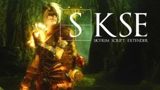 Skyrim Script Extender SKSE Installation et informations [upl. by Ribak]