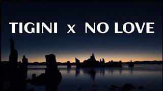 Tigini x No Love  UFS  Unknown Full Sound  Music • Shubh x Kikimoteleba [upl. by Lew]