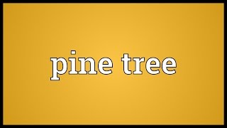 Pine tree Meaning [upl. by Nyved]