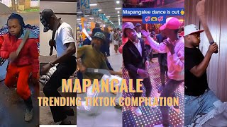 MAPANGALE TRENDING TIKTOK CHALLENGE   2024 🔥 [upl. by Pacificia]