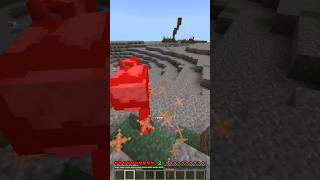 Gaboleh Ketemu Burung Di Minecraft Tapi Main Game TerSus shorts [upl. by Nitsir383]