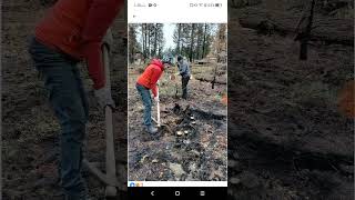 Aftermath Of Shetland Creek Wildfire In Saranagati Village November 10 2024 [upl. by Ragland]