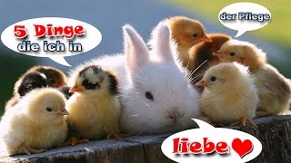 5 Dinge die ich in der Pflege liebe [upl. by Geraldine]