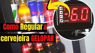 Como REGULAR a CERVEJEIRA GELOPAR  DICAS PARA SUA DISTRIBUIDORA DE BEBIDAS [upl. by Plafker234]