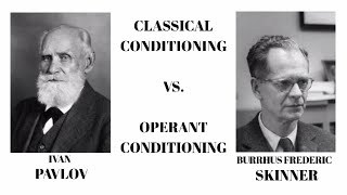 Classical Conditioning vs Operant Conditioning Psychology [upl. by Ahsei586]