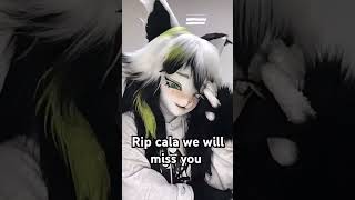 rip cala furries antizoo cosplay therian alterhuman costume fursuit theriangear furry [upl. by Aicilat5]