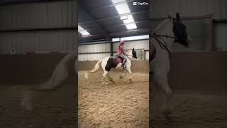 Fire on fire 🔥 horse equestrian jumping riding [upl. by Nella]