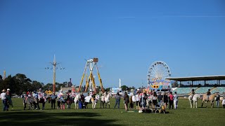 Whats On at the Hawkesbury Show 2023 [upl. by Aekin34]