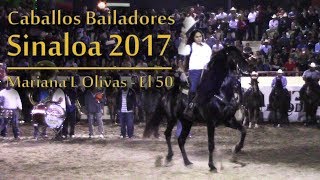 Caballos Bailadores Sinaloa  Mariana L Olivas  Caballo El 50 [upl. by Dickenson]