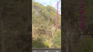 VLINE Southern Cross To Albury NSW 121124 victoria shorts shortvideo train travel views [upl. by Oeak]