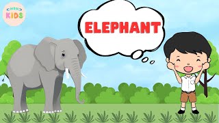 Elephant Facts For Kids 🐘 Learn All About Elephants  MON Kids [upl. by Powell]