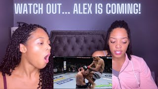 Reacting to Alex Pereira Debut  Taro [upl. by Rafaela]