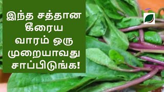 இந்த சத்தான கீரைய வாரம் ஒரு முறையாவது சாப்பிடுங்க  Spinach Pasalai keerai Benefits in Tamil [upl. by Hpesoj]