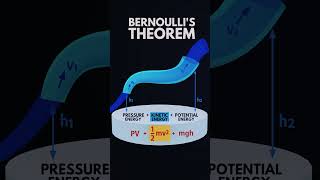 Bernoulli theorem explanationshortsphysics shorts [upl. by Fergus]