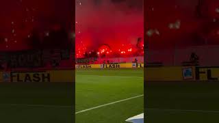 Raja Casablanca Fans Pyro Show vs AS FAR 22102024 [upl. by Enerak208]