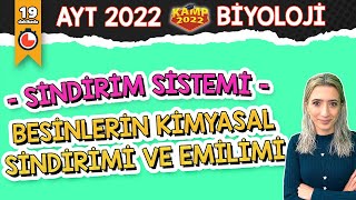 Besinlerin Kimyasal Sindirimi ve Emilimi  AYT Biyoloji Kamp2022 [upl. by Onilecram435]