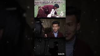 Tsesnon ladakh song 2024New ladakhi song short video ladakhshorts newsong ladakhmusic inshot [upl. by Giorgio]