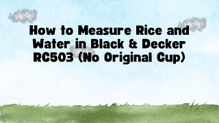 How to Measure Rice and Water in Black amp Decker RC503 No Original Cup [upl. by Notsew]