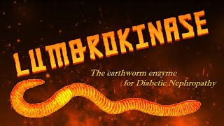 Lumbrokinase The earthworm enzyme for Diabetic Nephropathy [upl. by Waki]