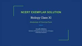 Anudh Mishra  NCERT Exemplar Solution  Biology XI  Morphology of Flowering Plants [upl. by Fiore853]