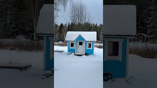 Winter❄️ or summer 🌼😍 minivlog positivevibes winter familyvlog mallusinfinland shortvideo [upl. by Tai]