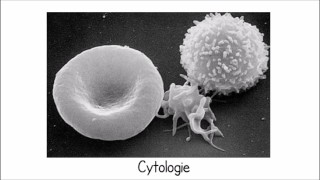 Chapitre 2  Méthodes détude de la cellule 2eme partie  Cytologie [upl. by Thayer]