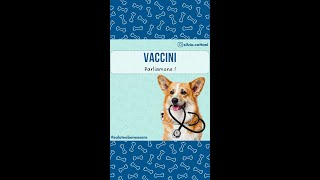 VACCINI AL TUO CANE  PARLAIMONE [upl. by Ewan436]