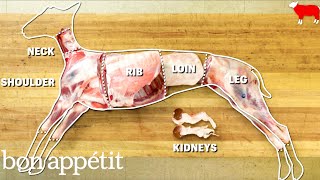 How to Butcher an Entire Lamb Every Cut of Meat Explained  Handcrafted  Bon Appetit [upl. by Lacsap]