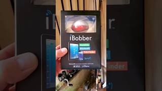 The iBobber Bluetooth Fish Finder shorts [upl. by Zinah986]