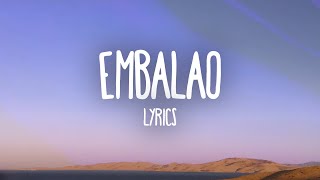 Farruko  Embalao Letra  Lyrics [upl. by Hieronymus]