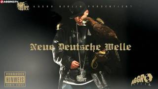 FLER  FLER  NEUE DEUTSCHE WELLE PE  ALBUM  TRACK 07 [upl. by Crandell598]