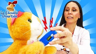 Vídeo para niños pequeños Una clínica veterinaria para juguetes La Escuela divertida [upl. by Idram]