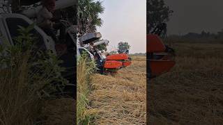 Kubota harvester shorts short shortvideo viralvideo [upl. by Wie433]