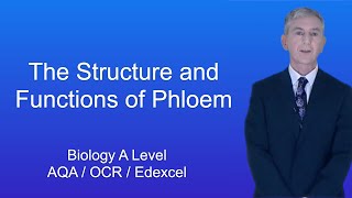 A Level Biology quotThe Structure and Functions of Phloemquot [upl. by Anailuj]