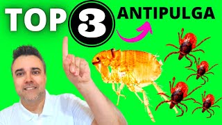 TOP 3 MELHORES ANTIPULGAS E ANTICARRAPATOS Só os melhores Como acabar com pulgas e carrapatos [upl. by Kristal]