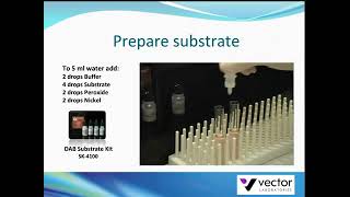 Tissue staining with DAB Peroxidase Substrate Kit from Vector Laboratories [upl. by Cinom]