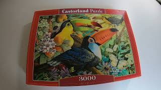 Time Lapse Puzzle Castorland Interlude 3000 [upl. by Enyalahs]