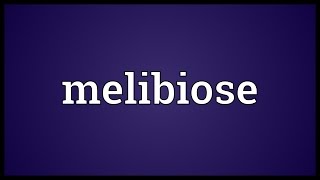 Melibiose Meaning [upl. by Leuname]