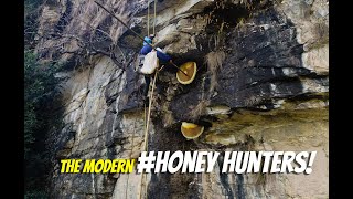 My first experience at WILD HONEY HUNT [upl. by Odin]