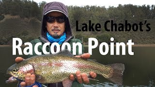 Fishing for Trout at Lake Chabots Raccoon Point Dock [upl. by Hanni]