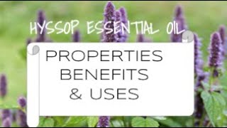 Hyssop Essential Oil  Benefits amp Uses [upl. by Socha]