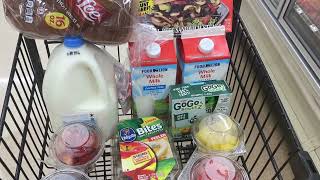 Food Lion Quick Grocery Vlog Shopping GroceryBlog ShopWithMe ShotWithMeToday [upl. by Onairot]