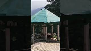 Patnitop hills video hillstation shortsvideo youtubeshorts viralvideo enjoy shortsviral viral [upl. by Yenoh]