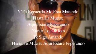 Daddy Yankee  La Despedida Lyrics [upl. by Gnaig546]